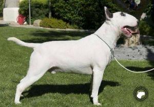 MEGAVILLE'S SIGNING OFF